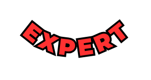 Expert