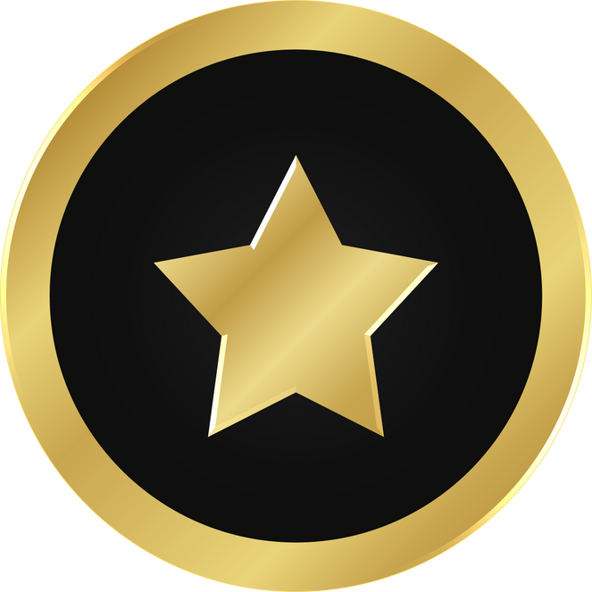 Gold Star Icon